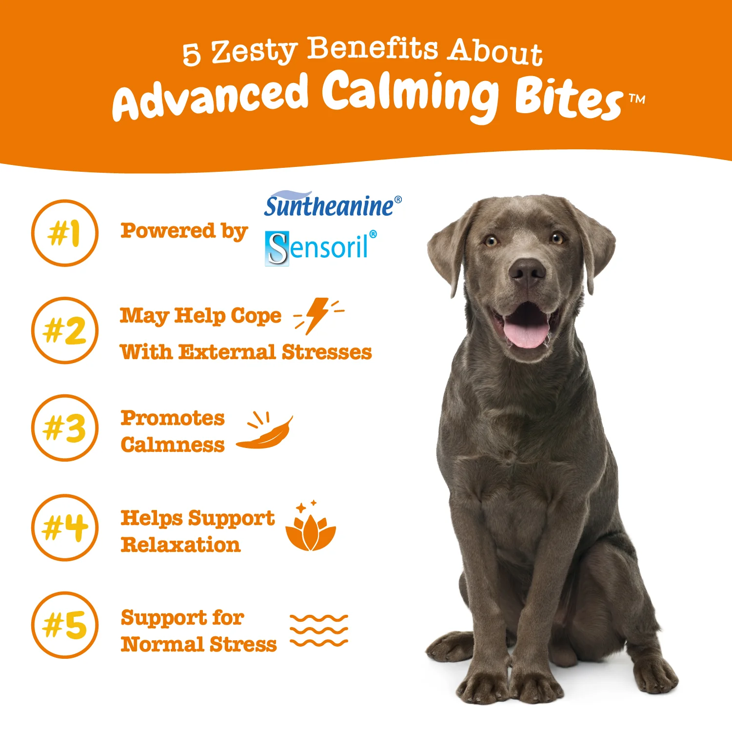 Advanced Calming Bites™ for Dogs